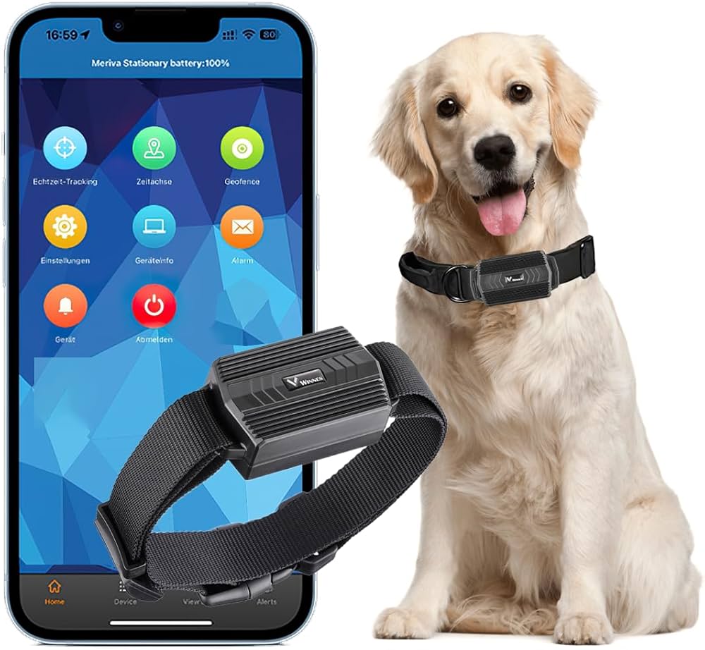 61Omea2jzQL._AC_UF1000,1000_QL80_