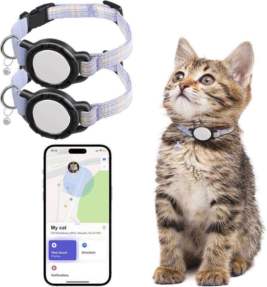 71iMor4XiFL._AC_UF894,1000_QL80_